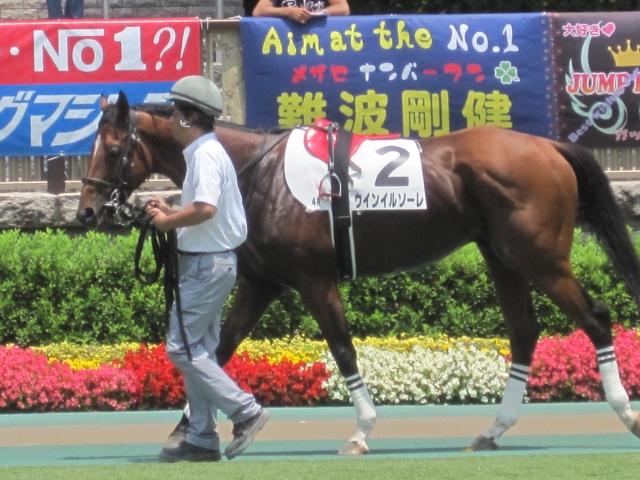 障害戦パドック ウインイルソーレ