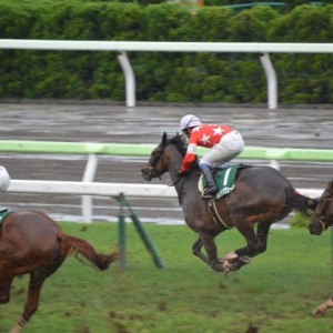 札幌２歳ステークス　スタート後