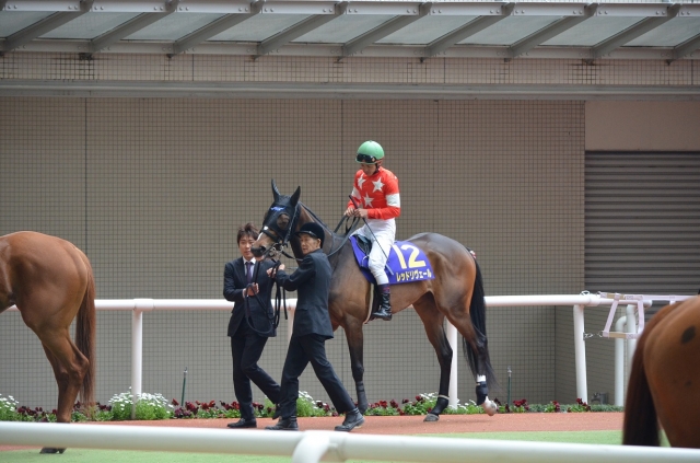 桜花賞　パドック3 レッドリヴェール