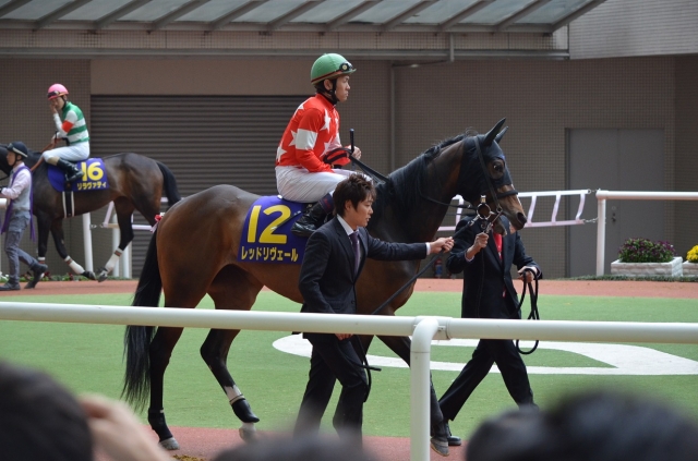 桜花賞　パドック4 レッドリヴェール