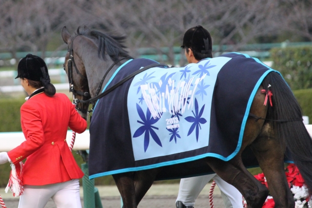 20131208阪神JF6 レッドリヴェール