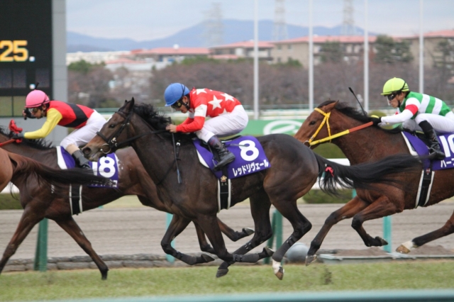 20131208阪神JF8 レッドリヴェール