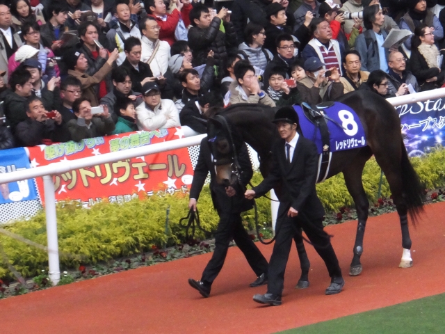 阪神JF 横断幕 レッドリヴェール
