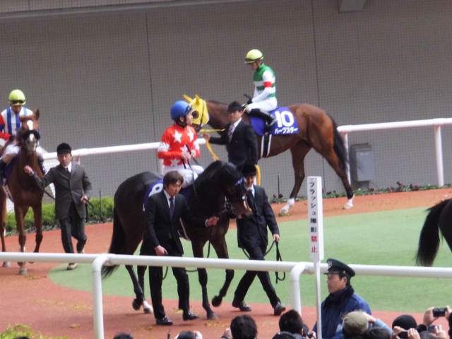 阪神JF vs. ハープスター レッドリヴェール