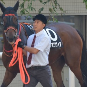 2015年9月27日　　ムーンライトハンデ　パドック