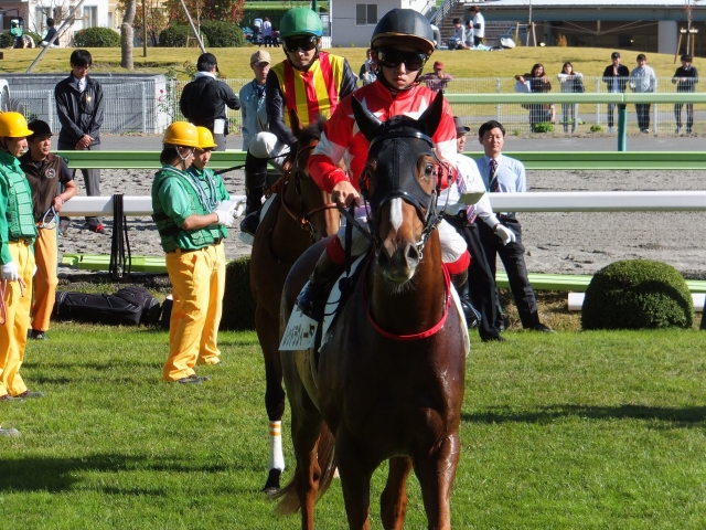 １０月２５日福島７Ｒ発走前 レッドラヴィータ