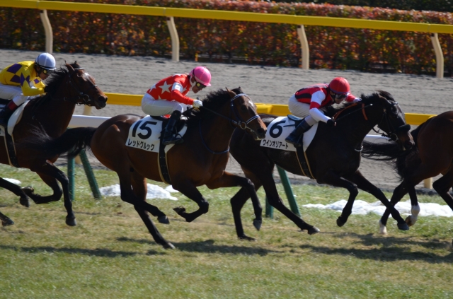 2.22　東京　未勝利 レッドグルック