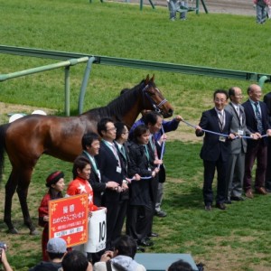 4.6　未勝利