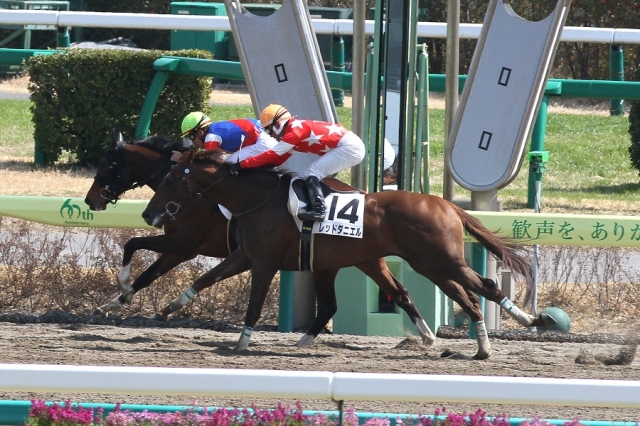 2014.3.16 新馬戦 レッドダニエル