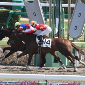 2014.3.16 新馬戦