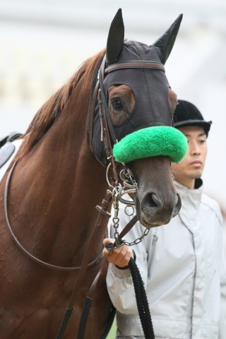 2014.3.30 優勝！ 3歳未勝利 ダ1800 レッドダニエル