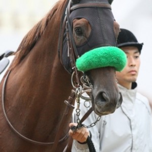 2014.3.30 優勝！ 3歳未勝利 ダ1800