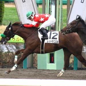 2014.3.30 優勝！ 3歳未勝利 ダ1800