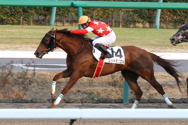 2015.3.14 中山12R レッドダニエル