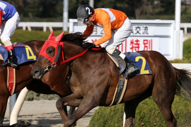 2016.2.24 園田10R レッドダニエル