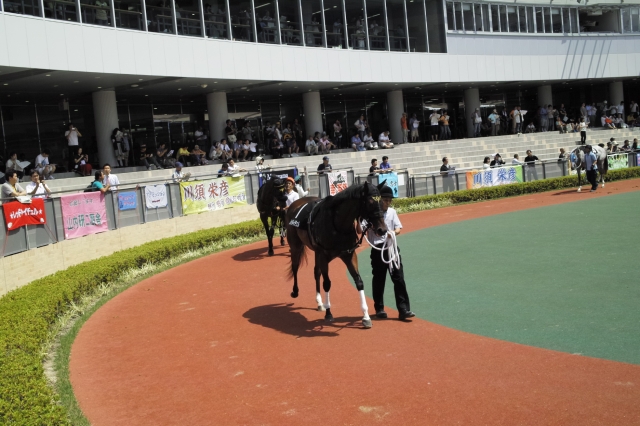 マカオJCT レッドレイチェル