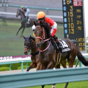 2014年6月28日 出石特別 返し馬