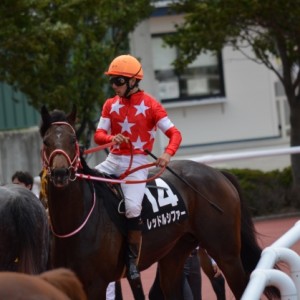 2014年6月28日 出石特別 レース後