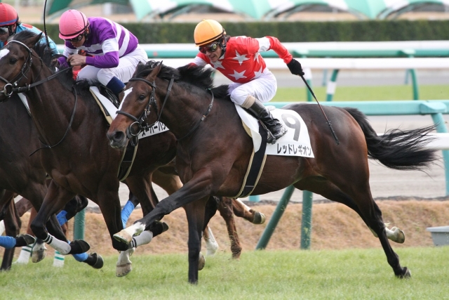 デビュー戦 レッドレギオン