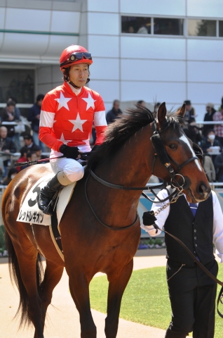 3歳未勝利戦/パドック レッドレギオン