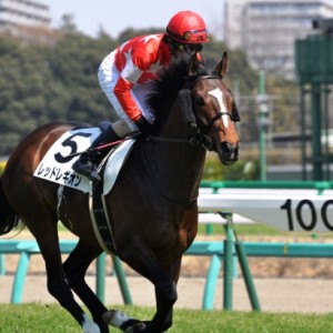 3歳未勝利戦/返し馬