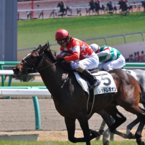 3歳未勝利戦/直線