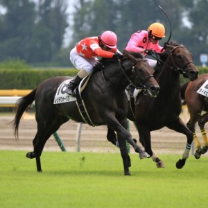 2014.8.3 3歳未勝利