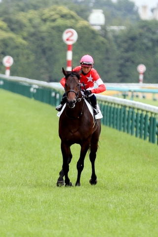 2013.6.23 東京5R メイクデビュー レッドウォーリア