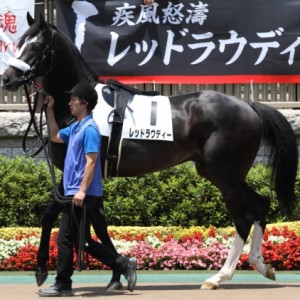 2013/6/8　新馬戦パドック①