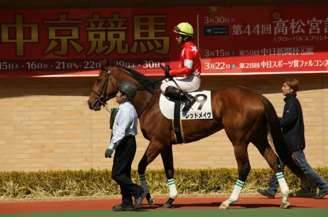 中京４R☆３歳未勝利☆２着☆ レッドメイヴ