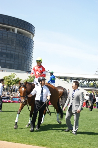 初勝利！京都１Rダート１８００ｍ☆ レッドメイヴ