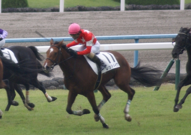 2013/10/27-4 レッドメイヴ