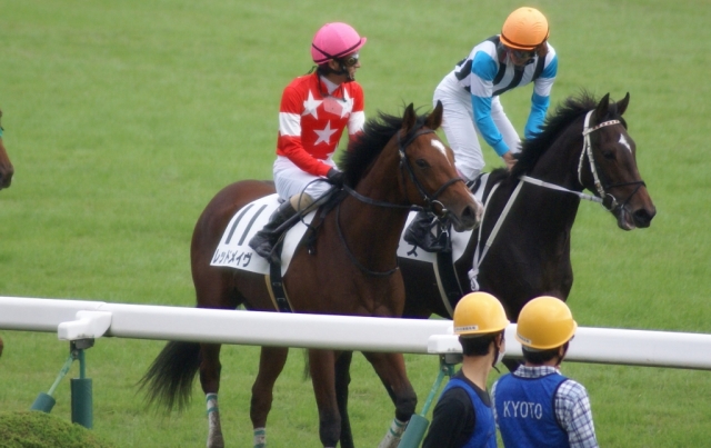 2013/10/27-5 レッドメイヴ