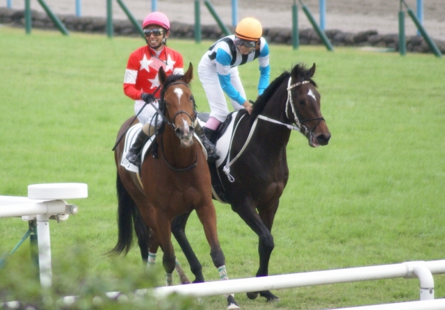 2013/10/27-6 レッドメイヴ