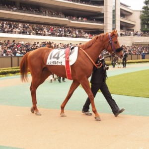 東京５Ｒ　３歳新馬