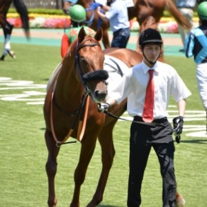 東京６Ｒ　３歳未勝利