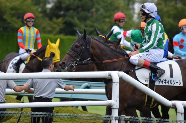 2014年9月13日　　阪神４Ｒ　レース後 タイキイルソーレ