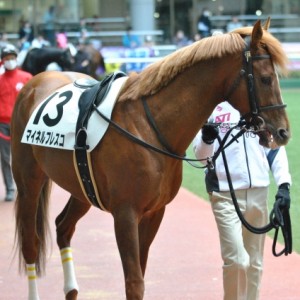 パドック騎乗前