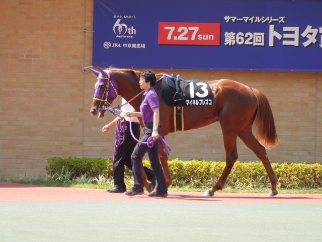 渥美特別その２ マイネルフレスコ