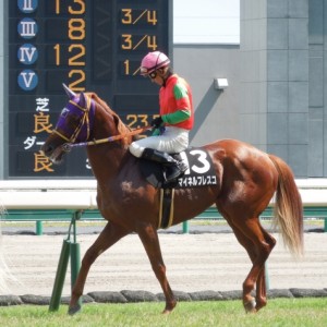 渥美特別その３