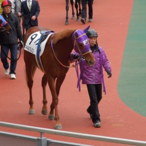 500万下（12/20）その１