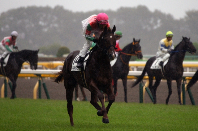 ４戦目　返し馬１ マイネルジパング