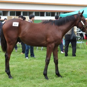 2012ＣＶＦ＆ＢＲＦツアー