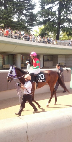 2015/4/26 東京10R 府中S マイネオーラム