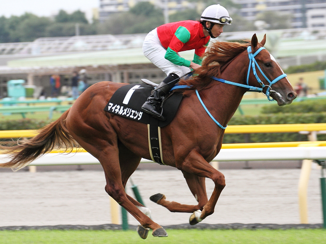 2013/10/19　いちょうＳ マイネルメリエンダ