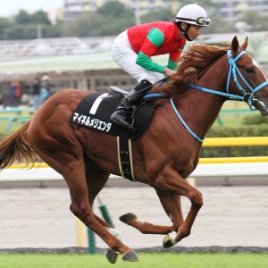 2013/10/19　いちょうＳ