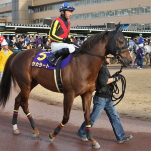 2009/03/11 船橋10Ｒ ダイオライト記念