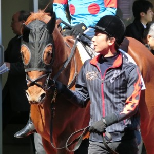 中京未勝利戦パドック