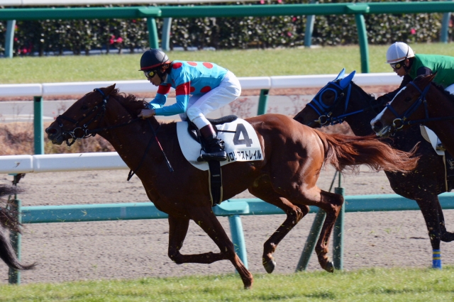 2歳未勝利 グロリアストレイル