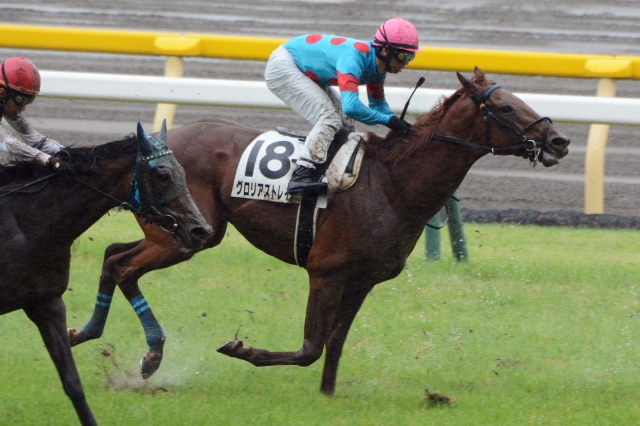 3歳未勝利 グロリアストレイル